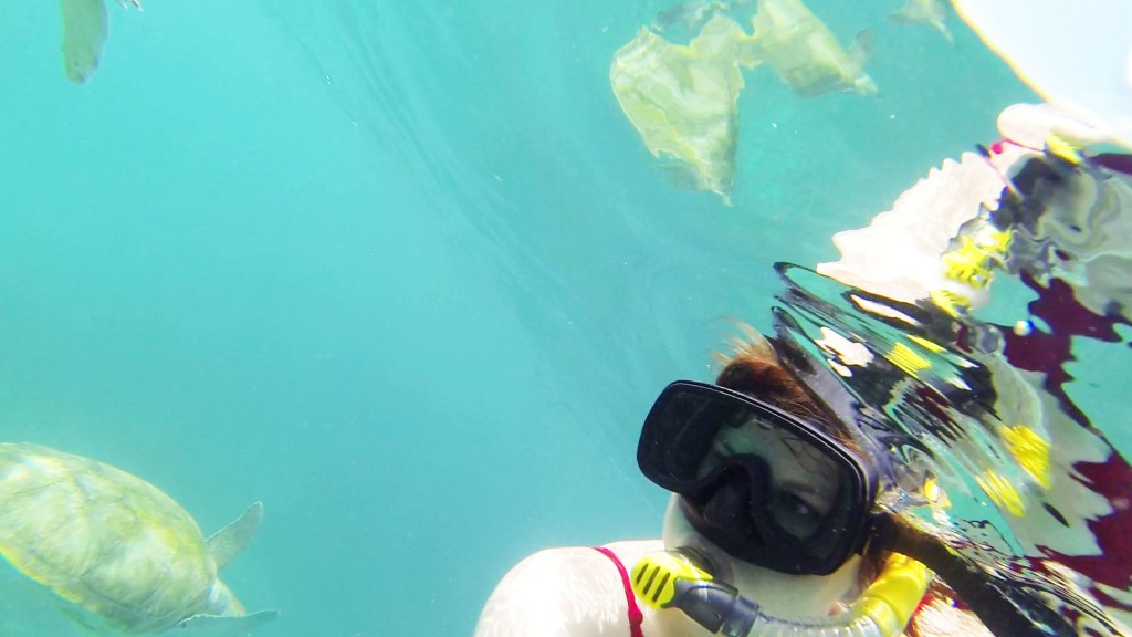 Here I am swimming with sea turtles