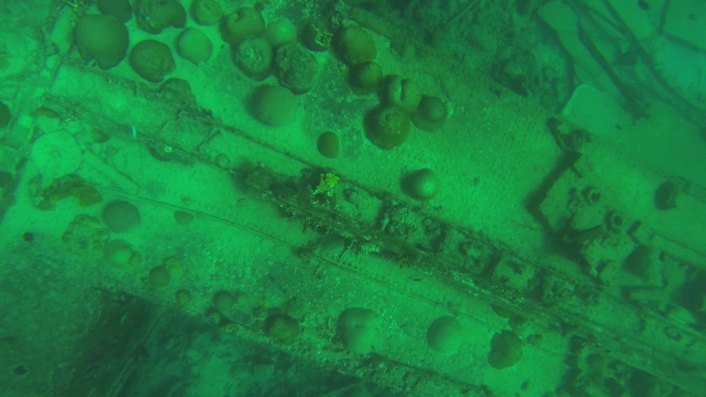 Barnacles grew on the sunken structure. 